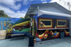 Outdoor bar in the yard